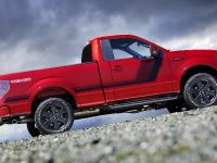 Ford F-150 Tremor (2014) - picture 13 of 18