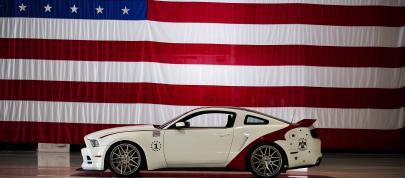 Ford Mustang GT U.S. Air Force Thunderbirds Edition (2014) - picture 7 of 9