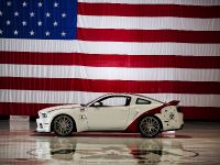 Ford Mustang GT U.S. Air Force Thunderbirds Edition (2014) - picture 7 of 9