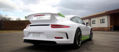 Fostla.de Porsche 991 GT3 (2014) - picture 4 of 10