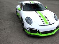 Fostla.de Porsche 991 GT3 (2014) - picture 1 of 10