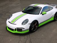 Fostla.de Porsche 991 GT3 (2014) - picture 2 of 10