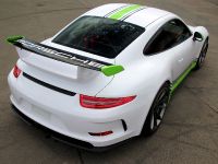 Fostla.de Porsche 991 GT3 (2014) - picture 3 of 10