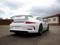 Fostla.de Porsche 991 GT3 (2014) - picture 4 of 10