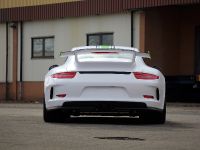 Fostla.de Porsche 991 GT3 (2014) - picture 5 of 10