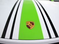 Fostla.de Porsche 991 GT3 (2014) - picture 10 of 10