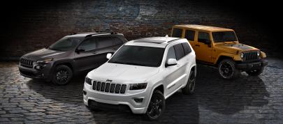 Jeep Grand Cherokee Altitude (2014) - picture 4 of 5