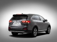 Kia Sorento (2014) - picture 6 of 13