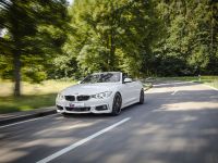 2014 KW BMW F33 Convertible, 2 of 13