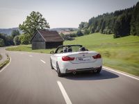 KW BMW F33 Convertible (2014) - picture 5 of 13