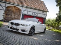 2014 KW BMW F33 Convertible, 6 of 13