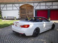 KW BMW F33 Convertible (2014) - picture 7 of 13