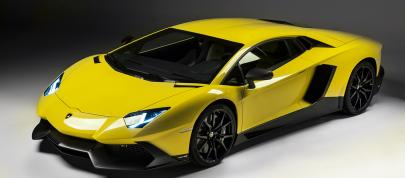 Lamborghini Aventador LP720-4 50 Anniversario Edition (2014) - picture 4 of 10