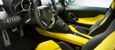 Lamborghini Aventador LP720-4 50 Anniversario Edition (2014) - picture 7 of 10