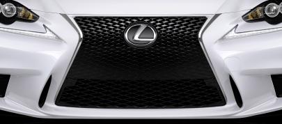 Lexus IS F Sport (2014) - picture 15 of 16