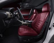 Lexus IS F Sport (2014) - picture 11 of 16