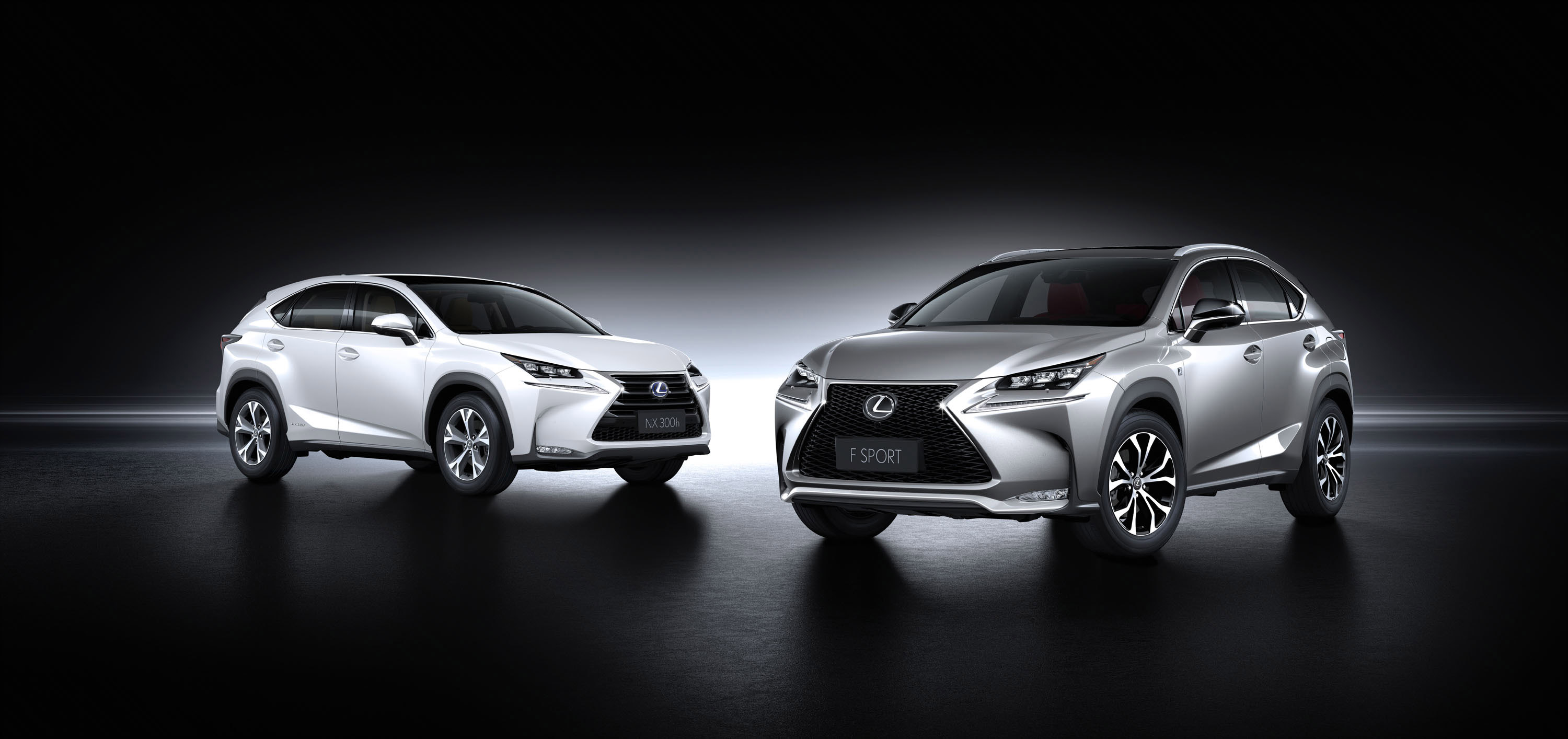 Lexus NX 300h Sports Luxury