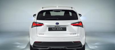 Lexus NX 300h Sports Luxury (2014) - picture 7 of 42