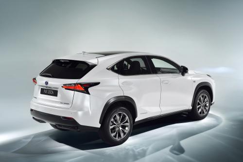 Lexus NX 300h Sports Luxury (2014) - picture 8 of 42