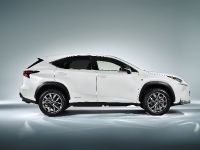 Lexus NX 300h Sports Luxury (2014) - picture 6 of 42
