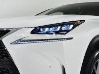 Lexus NX 300h Sports Luxury (2014)
