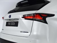 Lexus NX 300h Sports Luxury (2014)