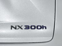 2014 Lexus NX 300h Sports Luxury