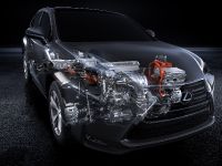 Lexus NX 300h Sports Luxury (2014) - picture 22 of 42