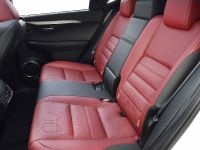 Lexus NX 300h Sports Luxury (2014)