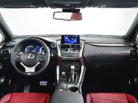 Lexus NX 300h Sports Luxury (2014) - picture 34 of 42