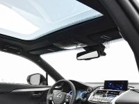 Lexus NX 300h Sports Luxury (2014) - picture 37 of 42