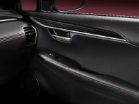 Lexus NX 300h Sports Luxury (2014)