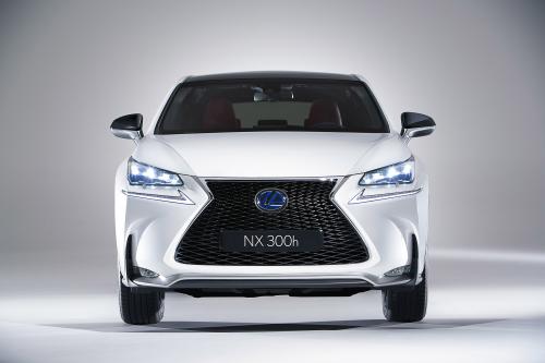 Lexus NX (2014) - picture 1 of 3