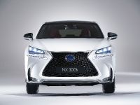 Lexus NX (2014) - picture 1 of 3