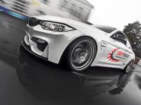 Lightweight BMW M4 (2014) - picture 3 of 21