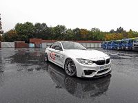Lightweight BMW M4 (2014) - picture 10 of 21