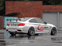 Lightweight BMW M4 (2014)