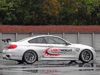 2014 Lightweight BMW M4