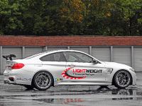 Lightweight BMW M4 (2014)