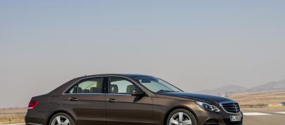 Mercedes-Benz E-Class Facelift (2014) - picture 12 of 31