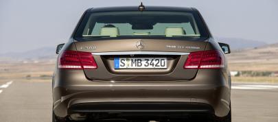 Mercedes-Benz E-Class Facelift (2014) - picture 15 of 31
