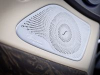 Mercedes-Benz S 65 AMG (2014) - picture 14 of 21