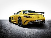 Mercedes-Benz SLS AMG Coupe Black Series (2014) - picture 13 of 23