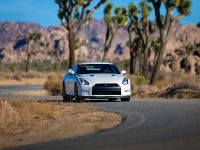 Nissan GT-R (2014) - picture 8 of 13