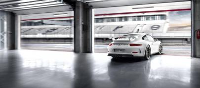 Porsche 911 GT3 (2014) - picture 15 of 25