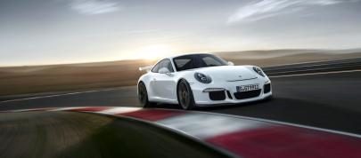 Porsche 911 GT3 (2014) - picture 20 of 25