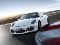 Porsche 911 GT3 (2014) - picture 11 of 25