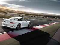 Porsche 911 GT3 (2014) - picture 18 of 25