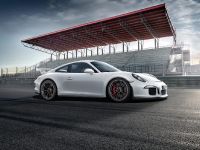 Porsche 911 GT3 (2014)