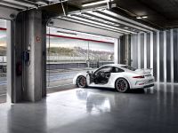 Porsche 911 GT3 (2014) - picture 21 of 25